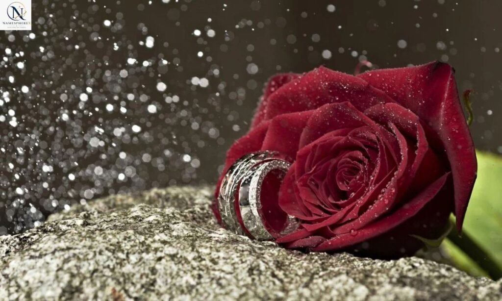 Deep red rose and weathered stone symbolizing last names that mean love and strength.
